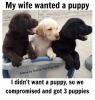 my-wife-puppy-memes.png