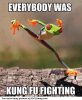 Everybody-Was-Kung-Fu-Fighting-Funny-Fight-Meme-Image.jpg