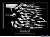 sperm-got-fooled_o_273444.jpg