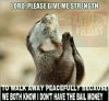 Lord-Please-Give-Me-Strength-Funny-Squirrel-Meme-Image.jpg