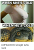 when-shes-cold-when-hes-cold-lmfaaoooo-straight-turtle-neck-15148058.png