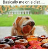 basically-me-on-a-diet-2307109.png