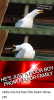 im-just-a-poor-boy-nobody-loves-me-inhales-hes-41989100.png