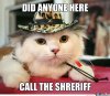 kitty-sheriff_o_1716809.jpg