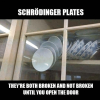 thumb_schrodinger-plates-theyre-both-broken-and-not-broken-until-you-55932956.png