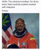 hilarious-weed-memes-1.jpg