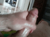378909_1_6_0_f8f2035b.gif