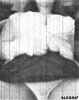 54daf4139cf0ed2c9ca1a0926af7175c - Copy.gif