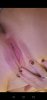 Screenshot_20191008_234336_com.android.gallery3d.jpg