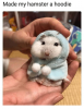 made-my-hamster-a-hoodie-38337897.png