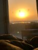 IMG-20191126-WA0000.jpg