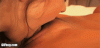 12554813.gif