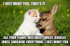 Funny-Love-Meme-I-Just-Want-You...Thats-It-Photo.jpg