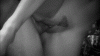9517163.gif