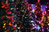 download_20191215_113709.jpg