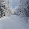 IMG_20190110_200932_524.jpg