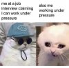 sunglasses-at-job-interview-claiming-can-work-under-also-working-under-pressure-pressure.jpeg