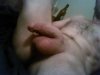 IMG_20180106_143259.jpg