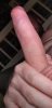 20200526_061641_resize_81.jpg