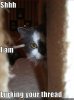 lurking.jpg