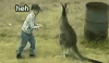 823A69E1-B6B4-44A1-81ED-75897235A60A.gif 823A69E1-B6B4-44A1-81ED-75897235A60A.gif