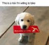 B6234E62-E41B-47ED-9864-4FD6149F57B7.jpeg