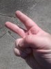 20200621_154356.jpg