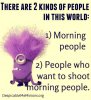 7fb5a53cc69b11cbffe9325432a01b7d--morning-people-morning-person.jpg