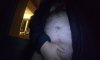 received_506732683327245.jpeg