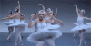 0763A29F-CA98-4015-A849-057D4005CD0C.gif