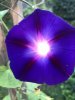 7908F14D-4E00-4A4B-A67F-0E2372C2BE39.jpeg