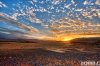 6F4541AB-2DB2-4587-8AF4-292F326D8475.jpeg