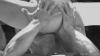 A52C8284-12E6-4F68-BDB1-5094730D7AD7.gif