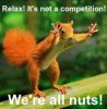 squirrel-nuts-meme.jpg