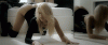 gif-porn-porn--handjob-porn-2697349.gif