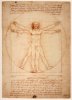 roughmark-sticker-da-vinci-homo-universalis.jpg