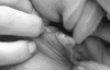 9436DCD.gif