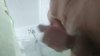 IMG_20200806_033611.jpg