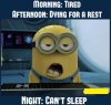 minion_cant_sleep_meme1.jpg