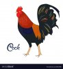 bird-cock-rooster-vector-6314766.jpg