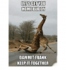 lets-get-you-home-buddy-dammit-frank-keepittogether-15959403.png