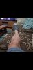 Screenshot_20200917-223349_Gallery.jpg