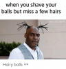 Hairy Balls.png