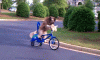 080DCDBF-9F9F-463E-A10B-99CB963E21C2.gif