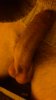 DSC_0243.jpg