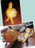 just-an-orange-peel-392962.png