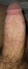 IMG_20201123_011939.jpg