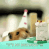 ·Happy·Birthday·Hamster·Cake·.gif
