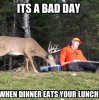 its-a-bad-day-when-your-dinner-eats-your-lunch1.jpg