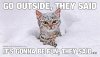 funny-pictures-cat-go-outside-they-said.jpg